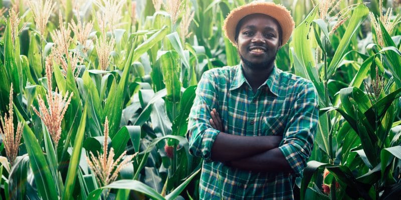 Farmer awaiitng finance